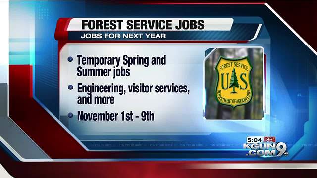 Forest Service accepting applications for temporary jobs