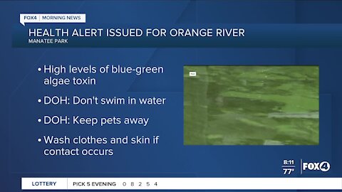 Health alert issued blue green algae alert