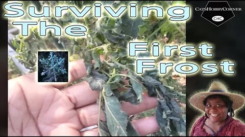 Surviving The 1st Freeze