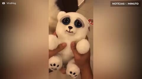 Fofo ou assustador? Brinquedo ou cão verdadeiro?