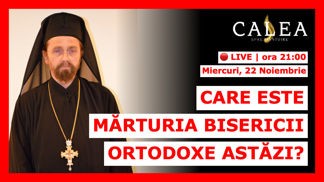 🔴 LIVE #682 - MĂRTURIA BISERICII ORTODOXE ASTĂZI || Pr. ANDREI