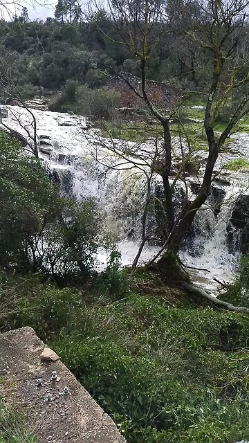 in the kitchen! when "water, H2O, win the Battle,in " against CO2( 0,04 %atmosphere components)