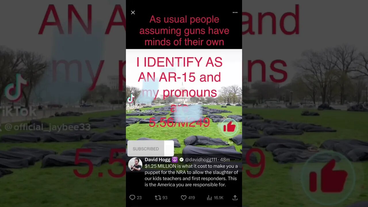 I Identity as an AR-15