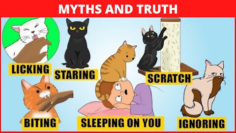 CURIOSITIES AND MYTHS ABOUT [CATS]