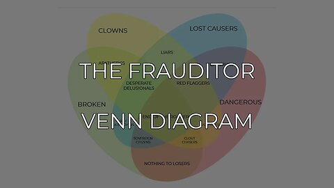 The Frauditor Venn Diagram