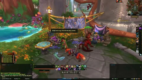 World of Warcraft Dragonflight Professionally Equipped