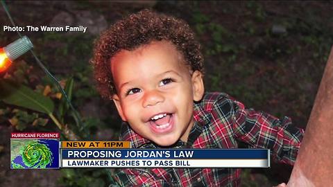 Bay Area lawmaker plans to file 'Jordan's Law' after Largo 2-year-old allegedly killed by mother