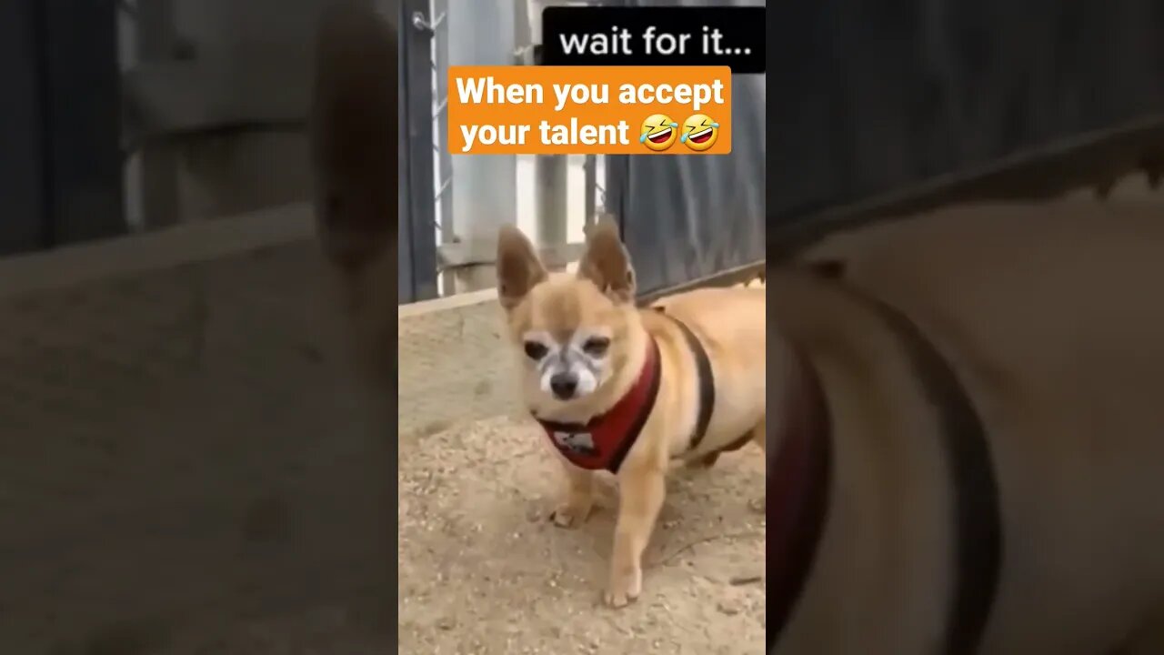 when you finally accept your talent