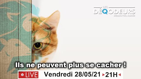 Ils ne peuvent plus se cacher !!! - 28/05/2021