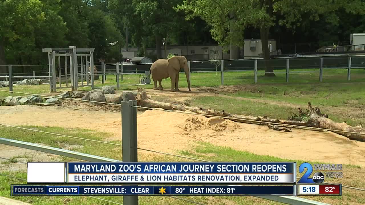 Maryland Zoo's African Journey section reopens