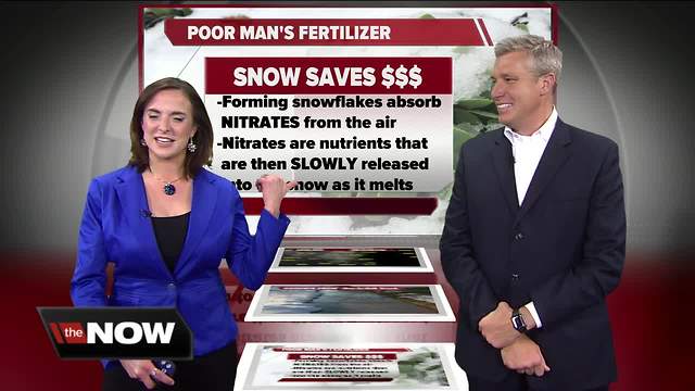Geeking Out: Snow as a fertilizer