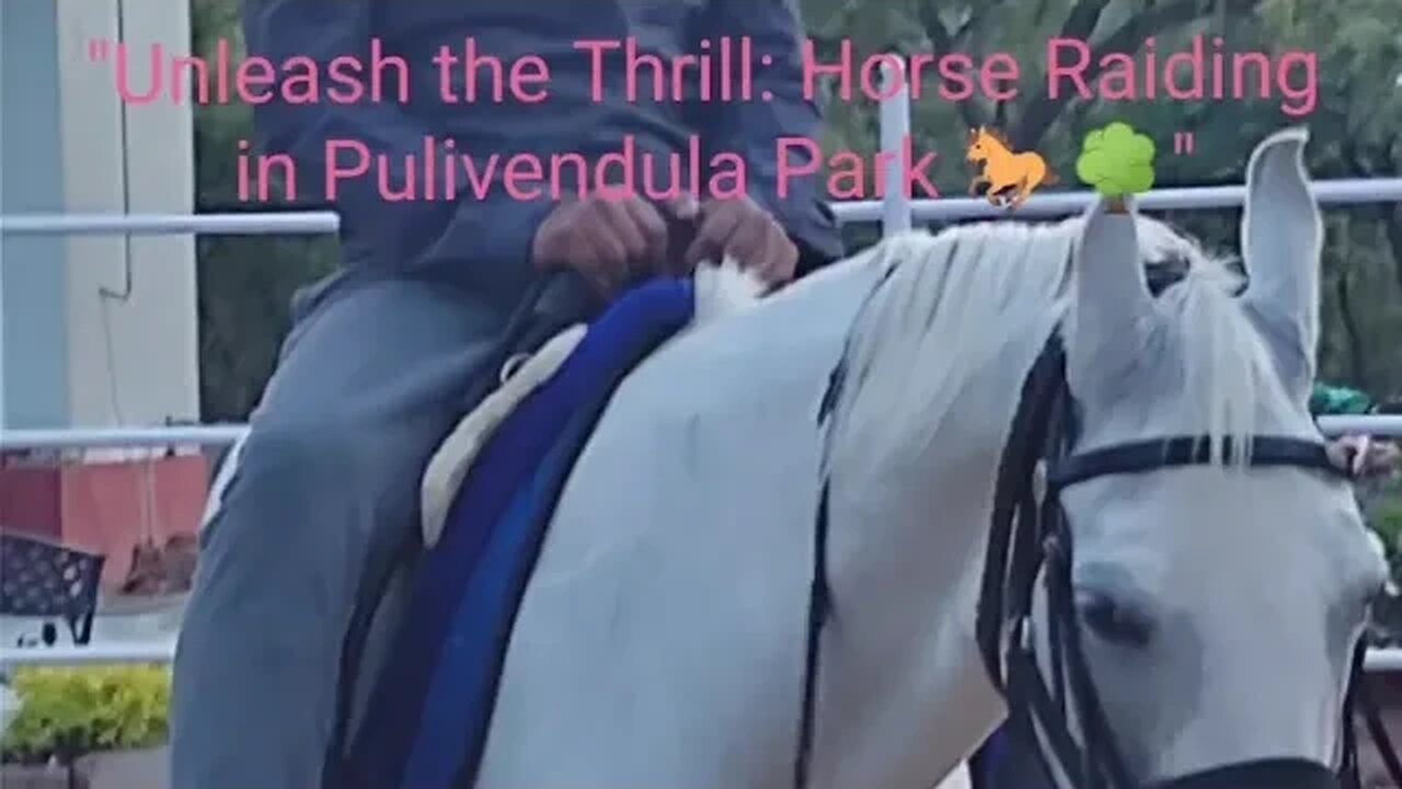 Galloping Adventures: Horse Raiding in Pulivendula Park 🐎🌳,#shortvideo,#animal,#horseriding,#horse
