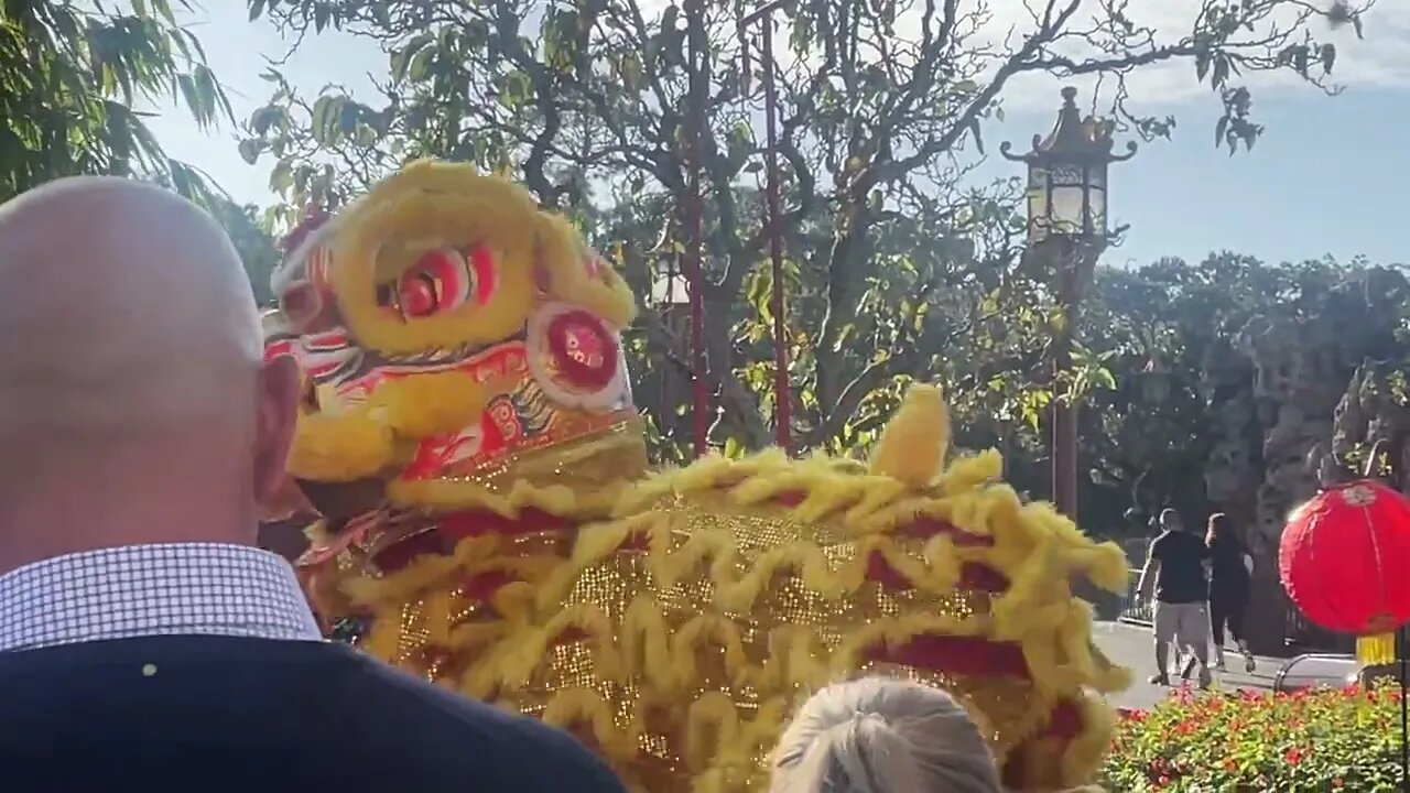 Lion Dance 2023 12 10 09 22 16