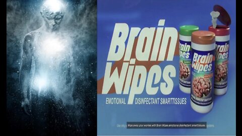 Reincarnation Soul Trap: Mind Wipes and our Handlers in the Afterlife