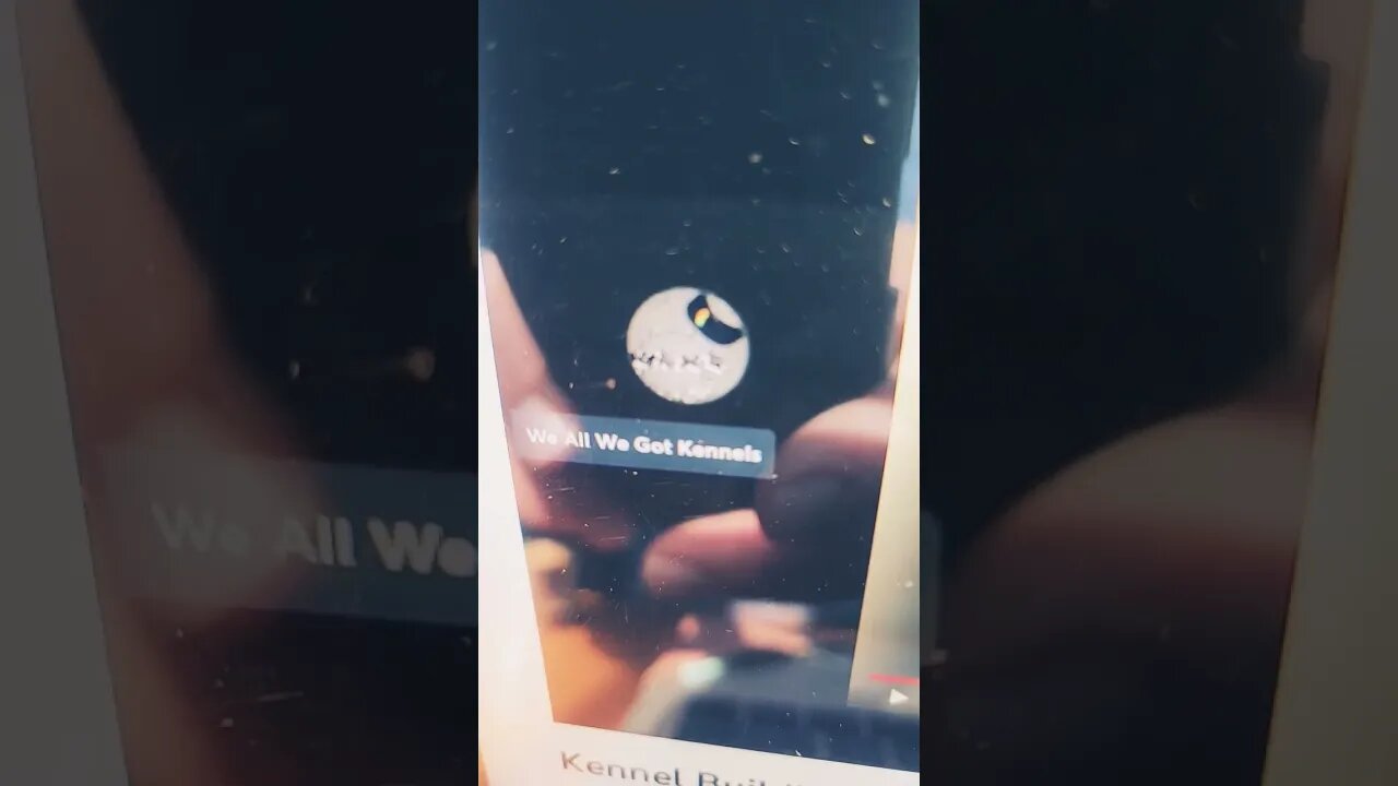 True Freeman Update On Puppy Sales