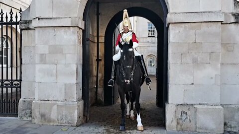 The Horse has spoken #horseguardsparade