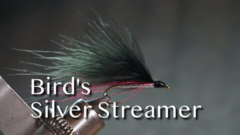 Bird’s Silver Streamer