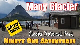 Many Glacier Boat Tour and Hike | Glacier National Park | Grizzly Bear with Cubs