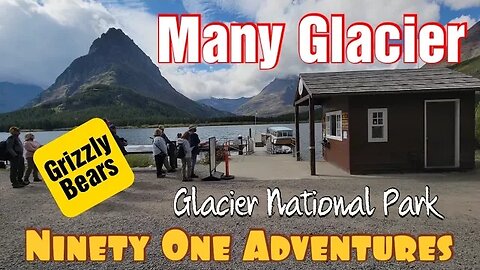 Many Glacier Boat Tour and Hike | Glacier National Park | Grizzly Bear with Cubs