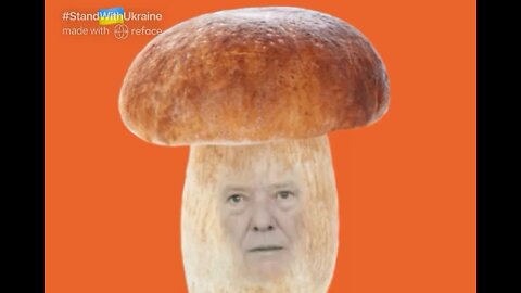 The Ultimate Donald Trump Mushroom Meme! 🍄
