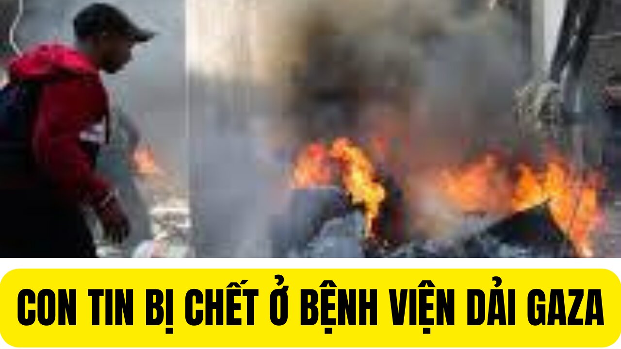 Tin 19/11/2023 Con Tin Bi Giết Ở Bệnh Viện Gaza