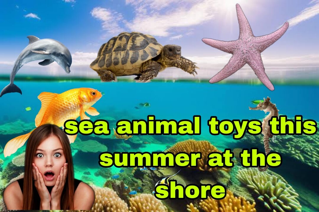 Sea animals toys this summer at the shore