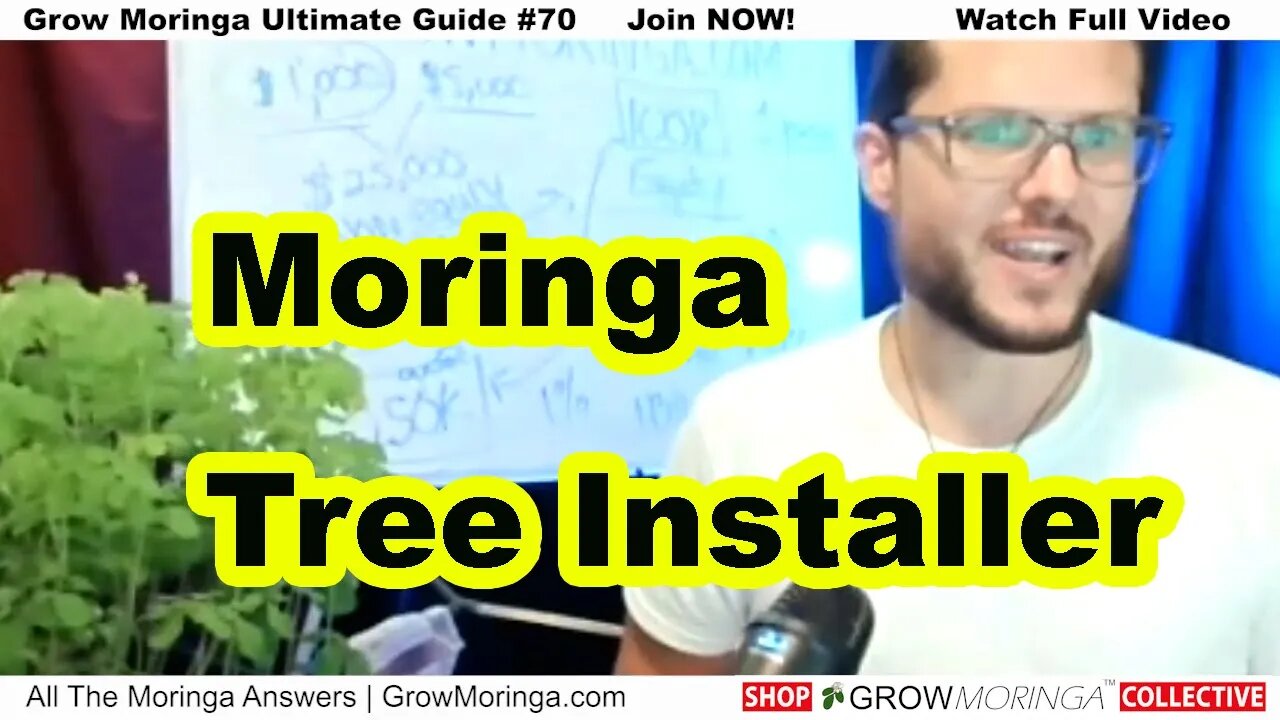 Home Services: Moringa Tree Installation