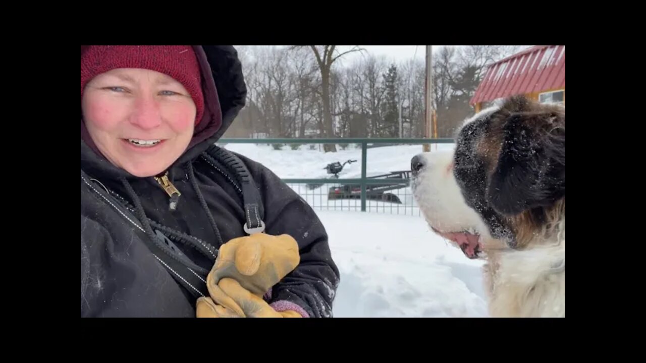 Winter fence height update- after the storm, no more fence