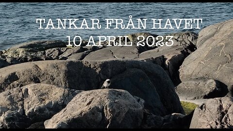 Tankar från havet 10 maj 2023