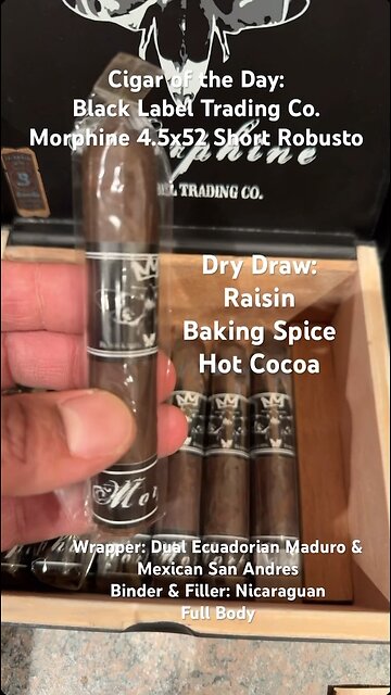 Black Label Trading Co. Morphine 4.5x52 Short Robusto #Shorts #Short #CigarOfTheDay #Cigar