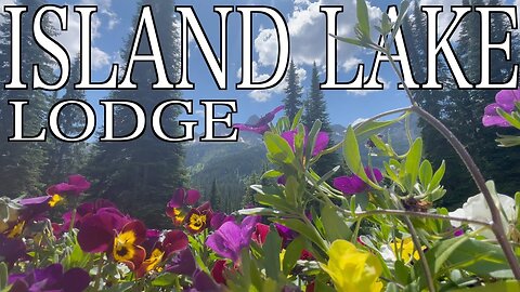 Island Lake Loge