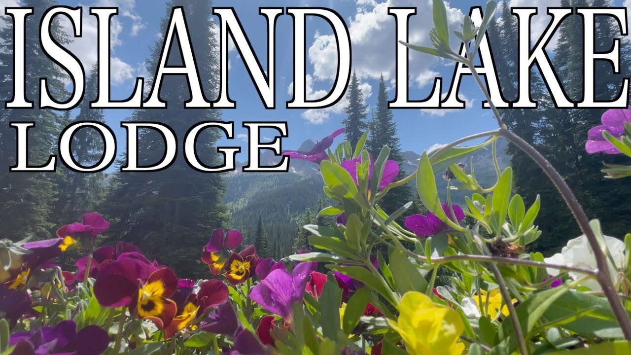 Island Lake Loge