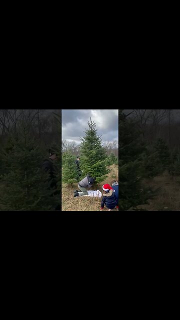 Chopping Down Christmas Tree Fail! #MegaFails #Shorts