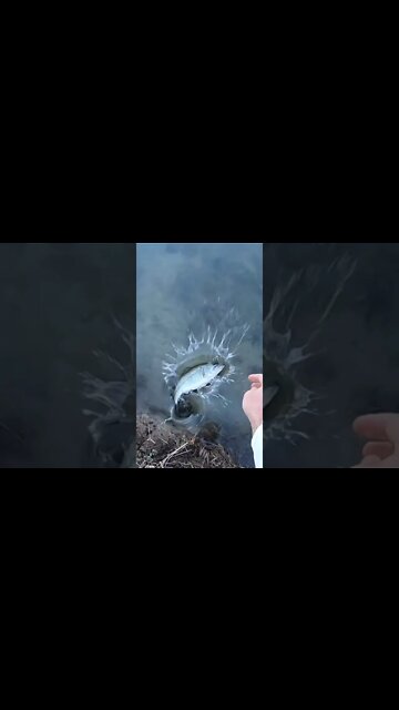 Ohio pond hopping for largemouth bass!