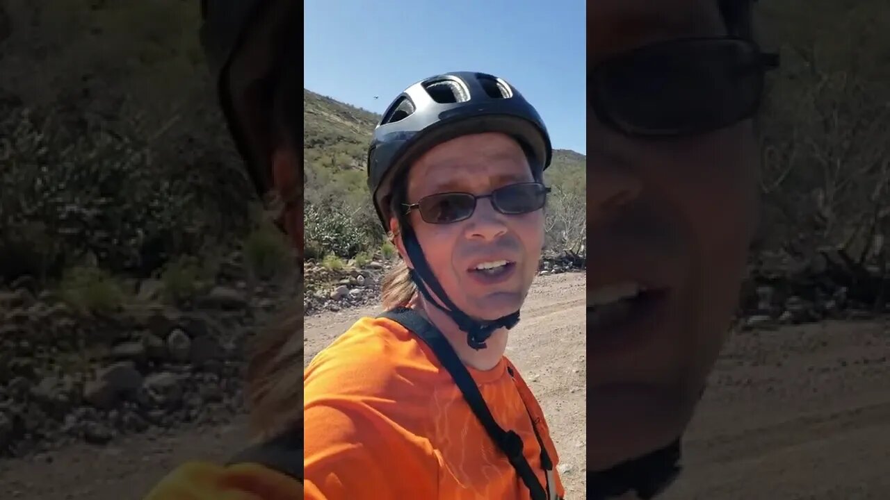 Short - Wild Arizona Donkeys