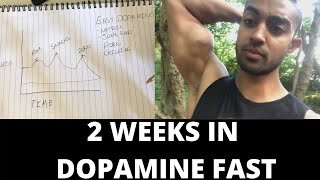 2 Week Dopamine Detox : (Should you do one?)