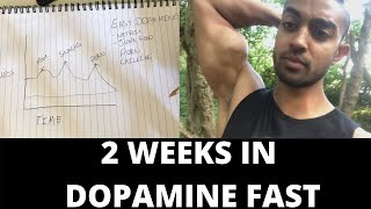 2 Week Dopamine Detox : (Should you do one?)