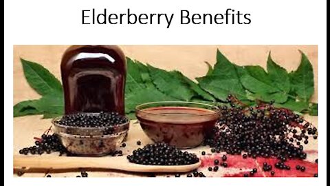 Elderberry Benefits