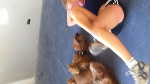 Ultimate Animal Workout: This Dog Exercises Better Than You!