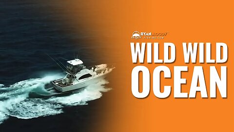 Wild wild ocean