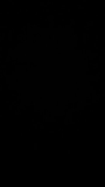 Own nothing and be happy