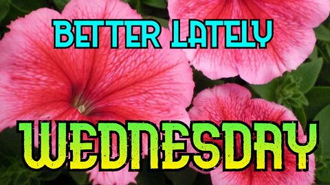 Better Lately - Wednesday