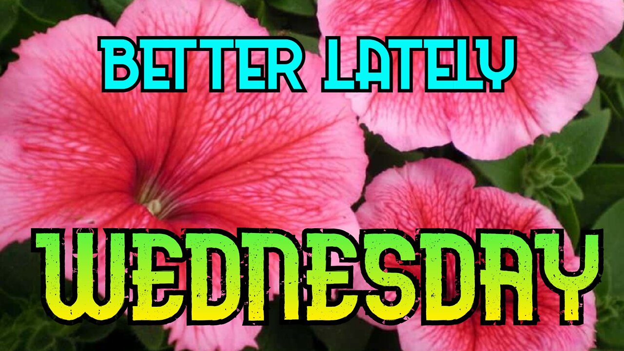 Better Lately - Wednesday