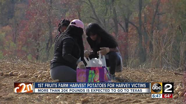 20,000 pounds of potatoes sent to victims still recovering from Hurricane Harvey