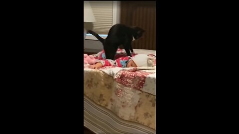 Giga cat massaging sleeping baby