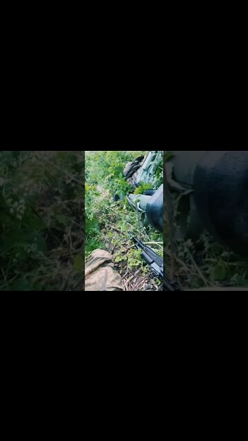 Ukraine Nazi hiding from the Russian shelling LOL