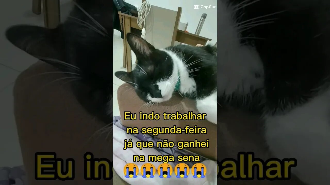 Indo trabalhar na segunda-feira 🙀