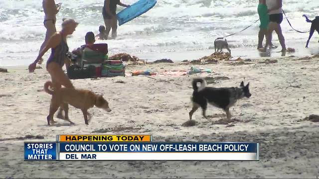 Council to vote on off-leash beach policy in Del Mar