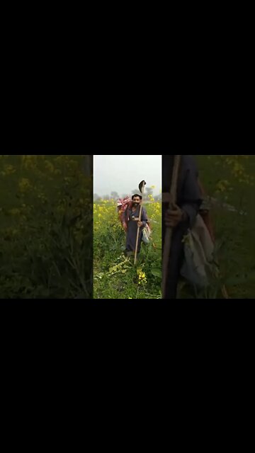 So Funny #Shorts #ytshorts #Bantasticfun #Funny #Comedy #gags #entertainment