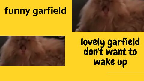 Funny Lovely Garfield